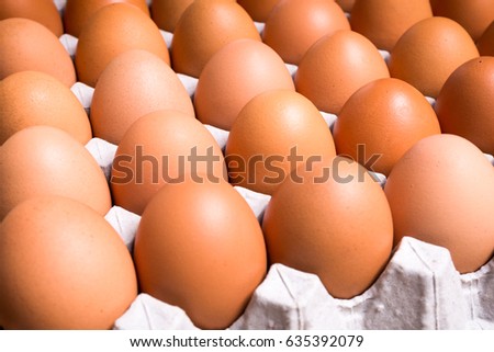 Fresh organic panel eggs on sackcloth