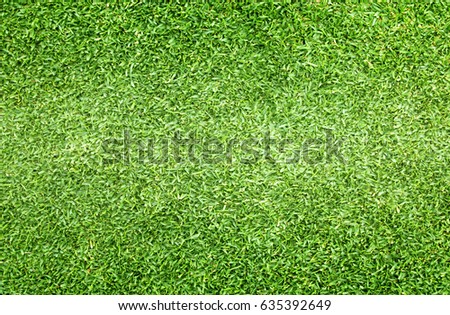 Golf Courses green lawn outdoor background texture.