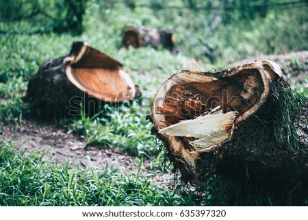 Deforestation in thailand