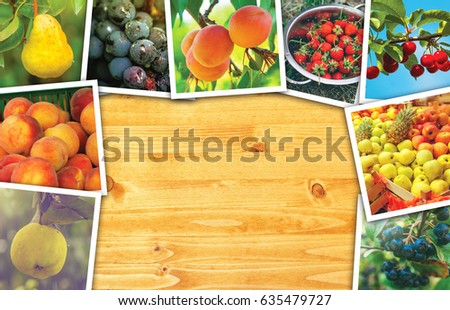 Organic fruit production, photo collage with copy space - various fruit produce photography on wooden surface, top view