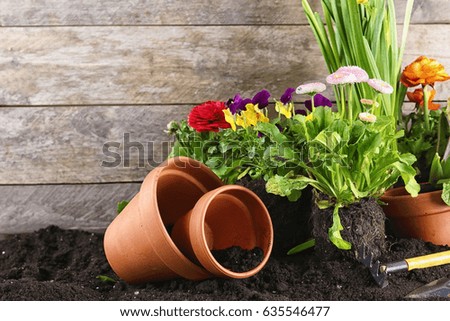 Composition with flowers and gardening tools on wooden background
