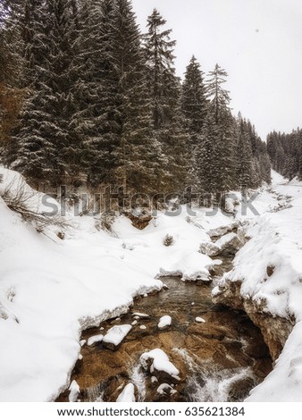 Small stream in the forest in winter, Austria