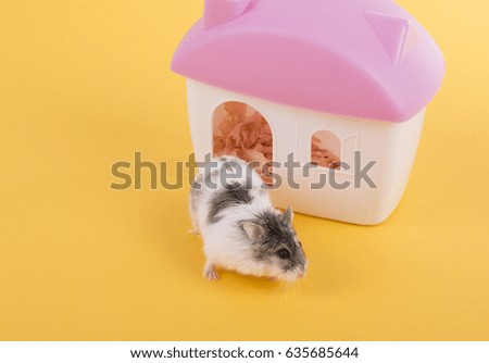 
Hamster and house background