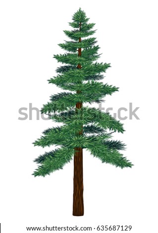 Pine tree vector on white background.Pine tree by hand drawing.