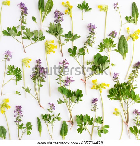 Floral pattern abstract background. Top view, flat lay. Flowers, spring, summer concept. March 8, mother's day background. Flowers violet vertical.