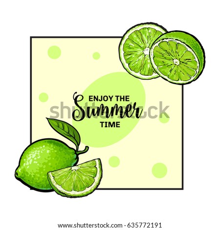 Banner, label, card design with whole and half green lime fruits and place for text, sketch style vector illustration on white background. Banner, postcard, label design with hand drawn lime fruits