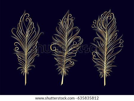 Set of gold  feather. Vector illustration.