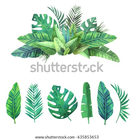 Bright set of tropical leaves.