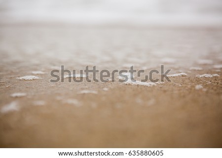 sea wave in beach 
