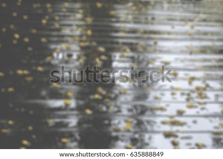 blurred picture of yellow leaves falling on wooden floor after rain