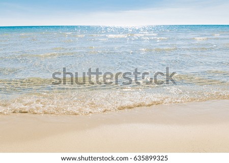 Wave of the sea on the sand beach ,copy space.