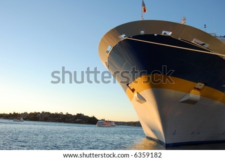 Picture of a passenger cruise liner docked in the harbour.