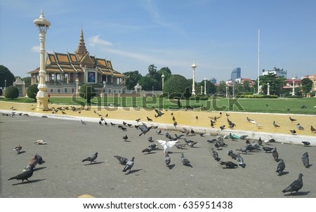 Flock of pigeon on the ground of Phnom Penh tourist attraction and famous landmark - Royal Palace complex, Cambodia