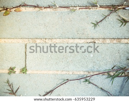 Abstract stone pavement walk way texture with copy space background