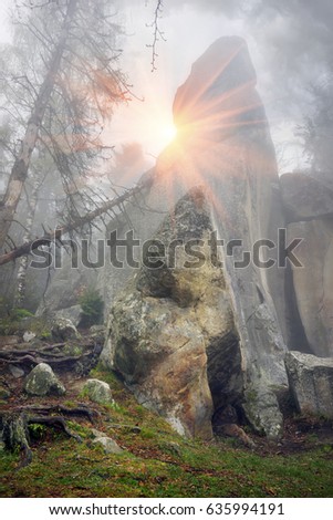 Ukraine in the Carpathians near Yaremche on top of the mountain cliff White Stone National Reserve in the morning fog among ancient trees. Here the climbers are training