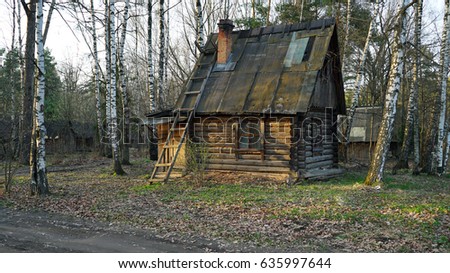 House in the forest in the spring