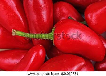 Red hot chili paprika pepper.