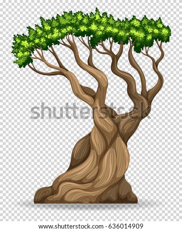 Big tree on transparent background illustration