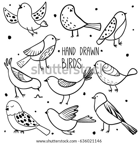 Bird collection. Collection of cute hand drawn bird doodles. Black on white vector set