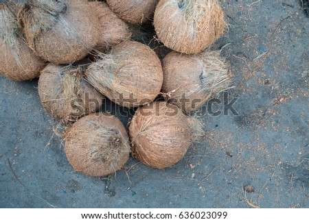 Dry Coconut for produce coconut milk, Dry Coconut peel off for sales market