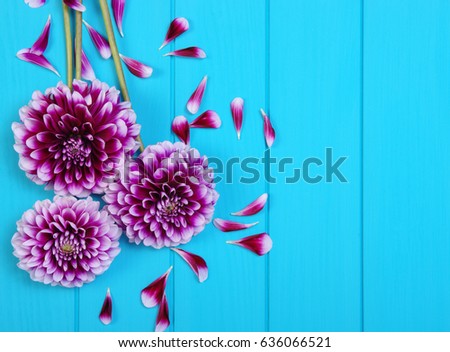  Flowers on blue painted wooden planks. Place for text.