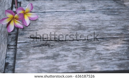 Plumeria flowers on the old wood floor.