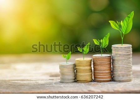 Tree growing on coins stack with sunlight for saving money concept Royalty-Free Stock Photo #636207242