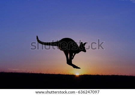 Jumping Kangaroo silhouette at sunset