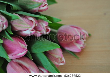 Tulip bouquet laying on wooden table, Spring flowers