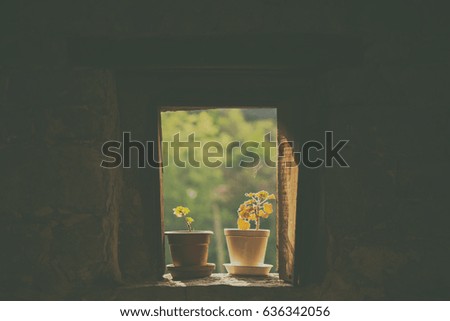 Pots on the windowsill