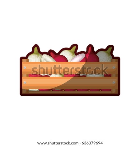 colorful silhouette of wooden box with onions and half shadow vector illustration