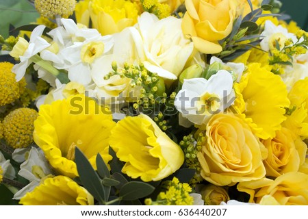 Bunch of yellow flowers Photo
