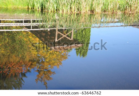 Autumn landscape in the lake