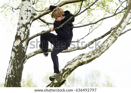 Young child blond boy climbing tree Royalty-Free Stock Photo #636492797