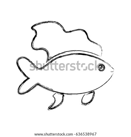 Fish sea animal