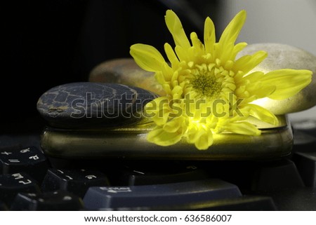 yellow flower on keyboard
