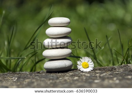 Harmony and balance, simple pebbles tower and daisy flower in bloom in the grass, simplicity, five stones
