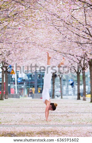 young woman practicing inversion balancing yoga pose handstand in park with cherry blossom. girl standing on hands outdoors. acrobatic exercises in town. 