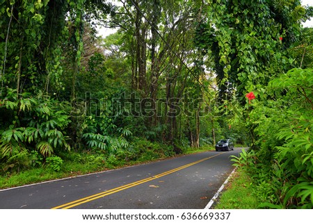 Famous Road to Hana fraught with narrow one-lane bridges, hairpin turns and incredible island views, curvy coastal road with views of cliffs,beaches, waterfalls, and miles of rainforest. Maui, Hawaii 