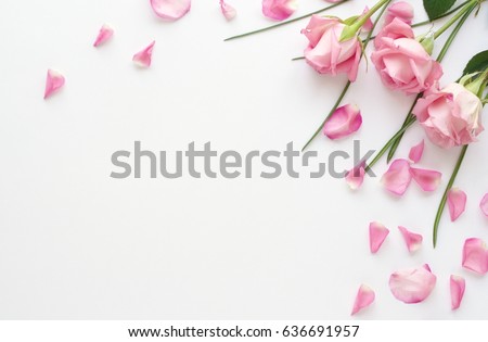 Flower arrangement of pink roses and petals on a white background.Holiday concept