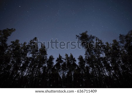 Stars and trees