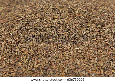 ea herbs texture. Green tea. Organic dried green tea leaves.
