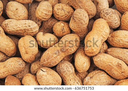 Groundnut. Peanuts with shells background food photography in studio. Close up macro peanuts photo. Beautiful salted roasted peanuts pattern concept.
