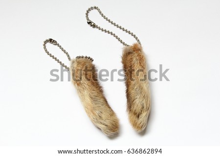 Good luck rabbit foot charms isolated on white