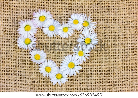 A flower heart of daisies on fabric
