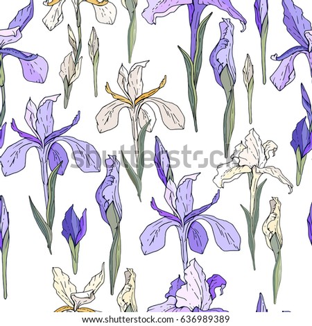 Seamless season pattern with blue and white irises. Endless texture for floral summer design with flowers