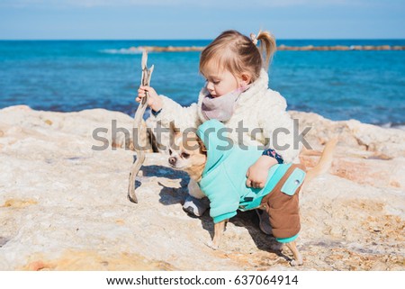 Little girl with chihuahua dog on seashore, outdoor summer