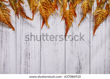 Nature garden plant Autumn red fern leaf retro white painted wood vintage plate table blank template background