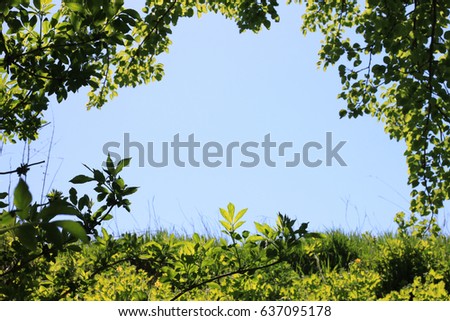 Photo of clear blue sky in natural green frame of grass, leaves and branches of bushes and trees with space for text. Abstract photo of beautiful summer landscape for advertising text placements.