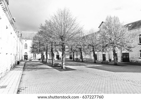 Patio of the Belgian house with park. The old pavement in St Hubert, Belgium. Black and White Picture